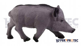Sanglier Cible 3D