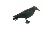 Cible de chasse 3D appelant corneille