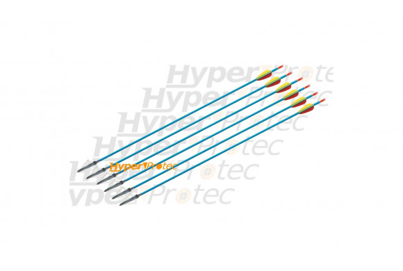 6 flèches alu + 6 pointe de chasse 3 lames pour arc 30 pouces