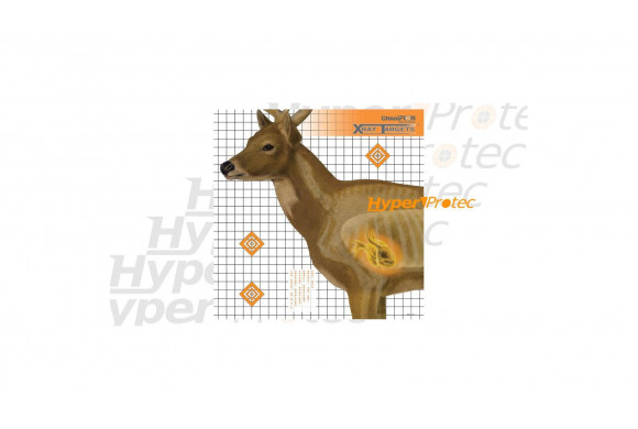 6 cibles Cerf en Rayons X - 63.5 cm entraînement chasseur